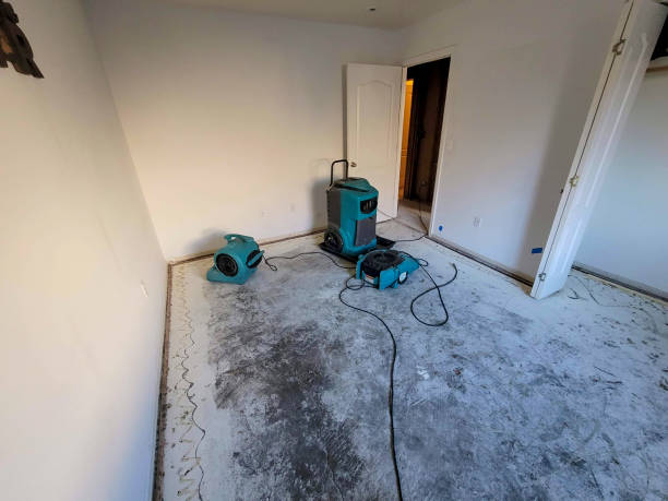 Water damage restoration mold remediation in Fortville, IN