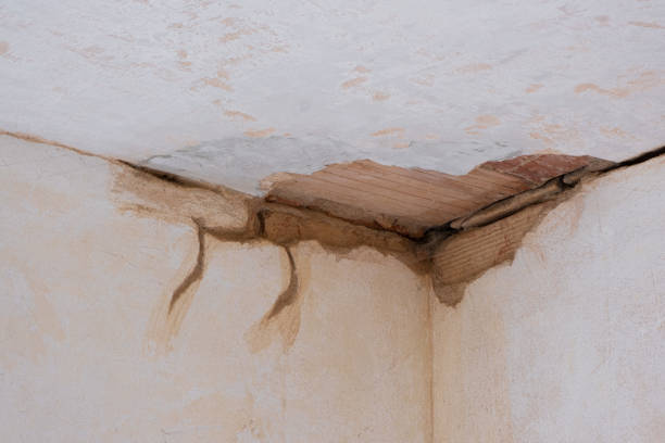 Best Water damage contractors near me  in Fortville, IN