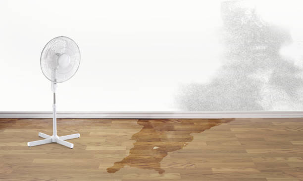 Best Fire Damage Restoration  in Fortville, IN