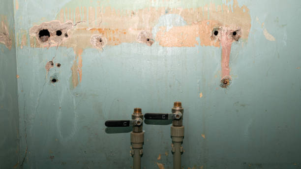 Best Sewage cleanup and water damage restoration  in Fortville, IN