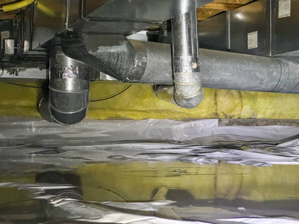 Best Water damage restoration services  in Fortville, IN
