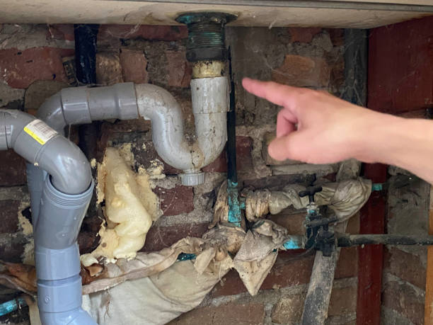 Best Local water damage restoration  in Fortville, IN