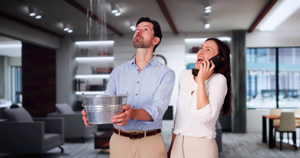Best Carpet water damage restoration  in Fortville, IN